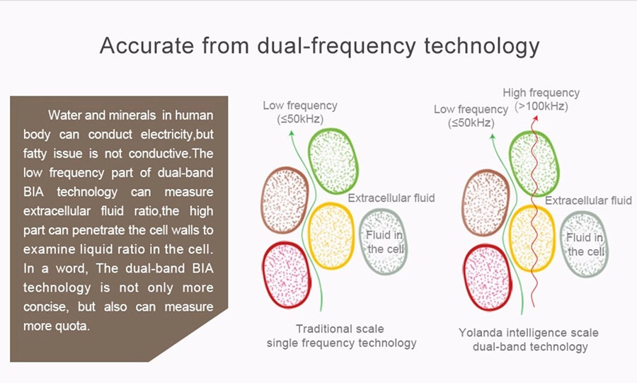 dual-band BIA technology