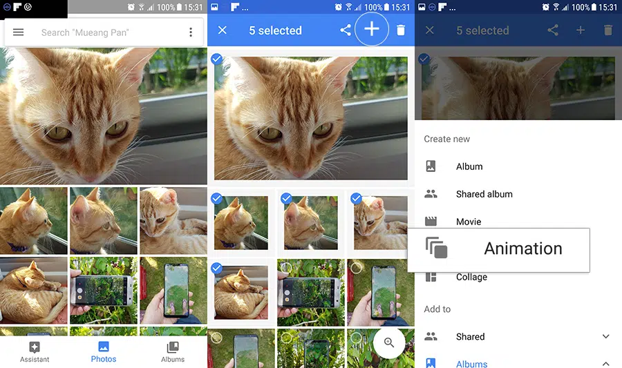 Google Photos GIFs animation